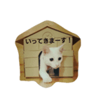 ふくすけと、なかまたち（個別スタンプ：6）