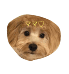 天真爛漫ミルク♡（個別スタンプ：1）