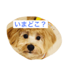 天真爛漫ミルク♡（個別スタンプ：3）