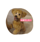 天真爛漫ミルク♡（個別スタンプ：5）