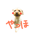 はちお。（個別スタンプ：8）