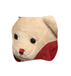 クマだよ（個別スタンプ：5）