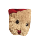 クマだよ（個別スタンプ：6）