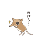 アフリカ獣上目のみなさん（個別スタンプ：7）