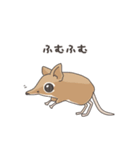 アフリカ獣上目のみなさん（個別スタンプ：16）