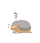 アフリカ獣上目のみなさん（個別スタンプ：17）