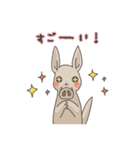 アフリカ獣上目のみなさん（個別スタンプ：20）