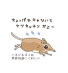 アフリカ獣上目のみなさん（個別スタンプ：26）