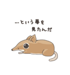 アフリカ獣上目のみなさん（個別スタンプ：40）
