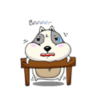 Mr.Jang（個別スタンプ：5）