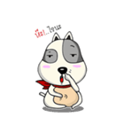 Mr.Jang（個別スタンプ：6）