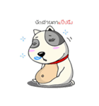 Mr.Jang（個別スタンプ：8）