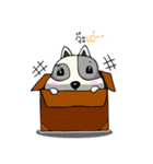 Mr.Jang（個別スタンプ：10）