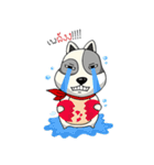 Mr.Jang（個別スタンプ：13）