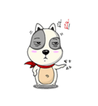 Mr.Jang（個別スタンプ：14）