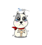 Mr.Jang（個別スタンプ：15）