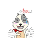 Mr.Jang（個別スタンプ：18）
