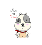 Mr.Jang（個別スタンプ：20）