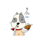 Mr.Jang（個別スタンプ：21）