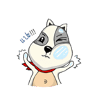 Mr.Jang（個別スタンプ：24）