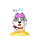 Mr.Jang（個別スタンプ：27）