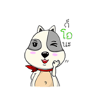 Mr.Jang（個別スタンプ：28）