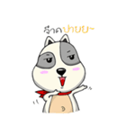Mr.Jang（個別スタンプ：29）