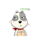 Mr.Jang（個別スタンプ：30）
