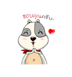 Mr.Jang（個別スタンプ：34）