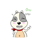Mr.Jang（個別スタンプ：36）