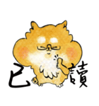 Yu's Shiba（個別スタンプ：19）