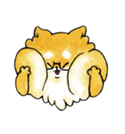Yu's Shiba（個別スタンプ：25）