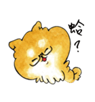 Yu's Shiba（個別スタンプ：27）