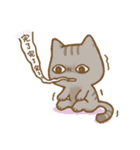 啾咪の猫の流行の日常、会話します（個別スタンプ：16）