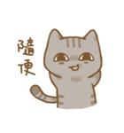 啾咪の猫の流行の日常、会話します（個別スタンプ：18）