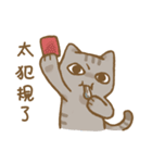 啾咪の猫の流行の日常、会話します（個別スタンプ：19）