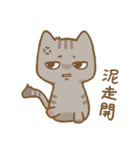 啾咪の猫の流行の日常、会話します（個別スタンプ：23）
