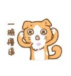 啾咪の猫の流行の日常、会話します（個別スタンプ：24）