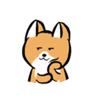 MaomaoDog - 日常生活（個別スタンプ：1）