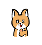 MaomaoDog - 日常生活（個別スタンプ：3）