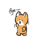 MaomaoDog - 日常生活（個別スタンプ：4）
