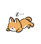 MaomaoDog - 日常生活（個別スタンプ：6）