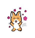 MaomaoDog - 日常生活（個別スタンプ：9）