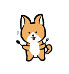 MaomaoDog - 日常生活（個別スタンプ：11）