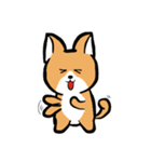 MaomaoDog - 日常生活（個別スタンプ：13）
