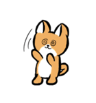 MaomaoDog - 日常生活（個別スタンプ：16）