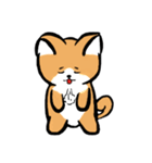 MaomaoDog - 日常生活（個別スタンプ：17）