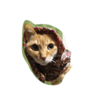 いやし〜猫（個別スタンプ：3）