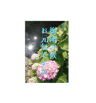 一筆啓上仕り候（個別スタンプ：4）