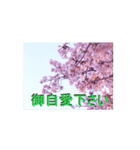 一筆啓上仕り候（個別スタンプ：7）